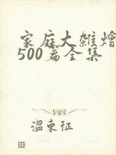 家庭大杂烩小说500篇全集封面