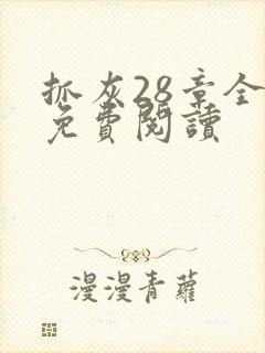 抓灰28章全部免费阅读
