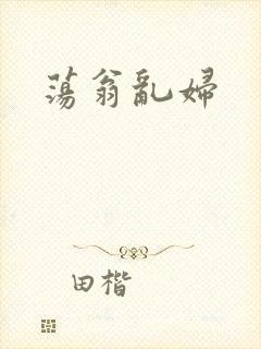 荡翁乱妇