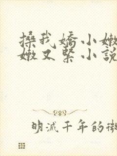 搡我娇小嫩苞又嫩又紧小说