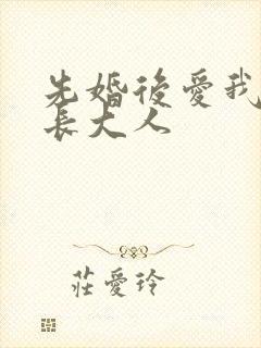 先婚后爱我的市长大人封面