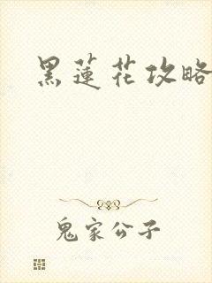 黑莲花攻略手册封面