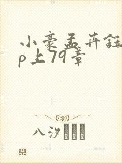 小豪孟卉钰慧三p上79章