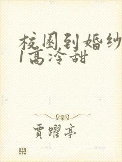 校园到婚纱1V1高冷甜封面