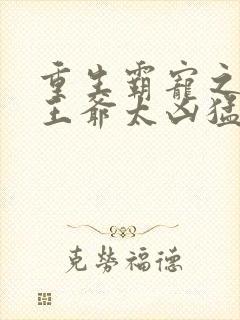 重生霸宠之摄政王爷太凶猛