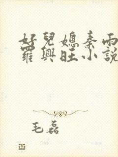 好儿媳秦雨罗明罗兴旺小说封面