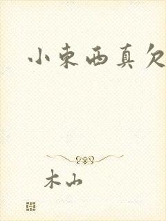 小东西真欠弄封面