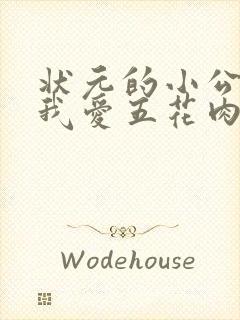 状元的小公主(我爱五花肉)