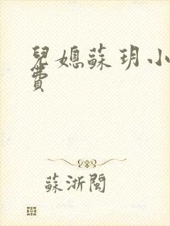 儿媳苏玥小说免费封面