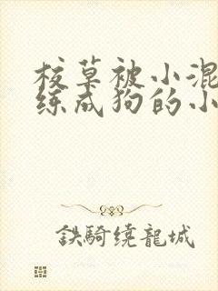 校草被小混混训练成狗的小说封面