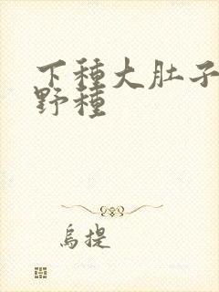 下种大肚子怀孕野种