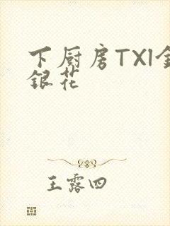 下厨房TXl金银花封面