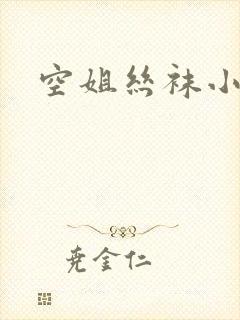 空姐丝袜小说