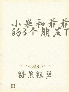 小米和爷爷和他的3个朋友TXT封面