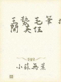 玉势 毛笔 撑开 夹住