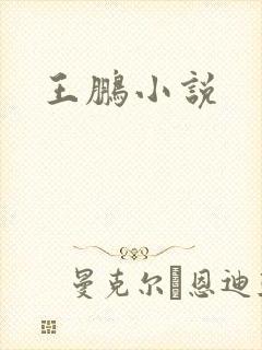 王鹏小说