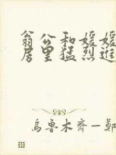 翁公和媛媛在厨房里猛烈进出封面
