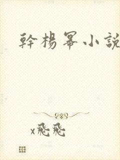 干杨幂小说