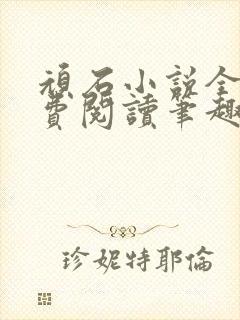顽石小说全文免费阅读笔趣阁