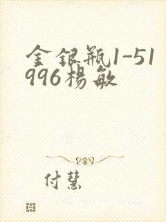 金银瓶1-51996杨敏封面
