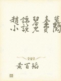 赵锦儿秦慕修的小说免费阅读全文