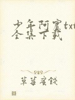 少年阿宾txt全集下载