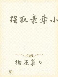强取豪夺小说