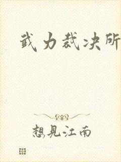 武力裁决所