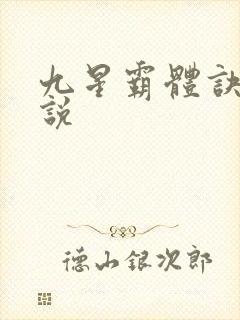 九星霸体诀 小说