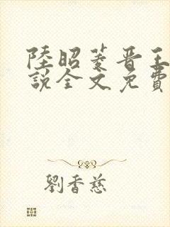 陆昭菱晋王的小说全文免费阅读封面