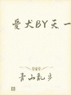 爱犬BY天一