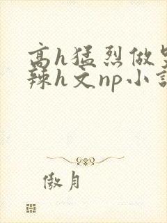 高h猛烈做哭高辣h文np小说