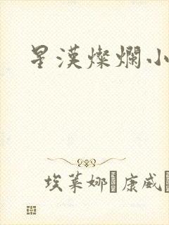 星汉灿烂小说
