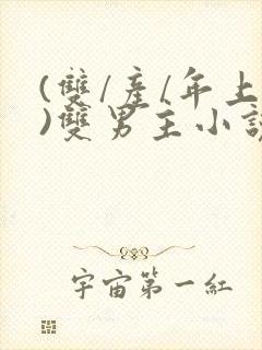 (双/产/年上)双男主小说封面