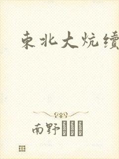 东北大炕续封面
