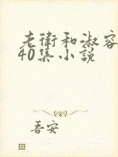 老卫和淑容1-40集小说