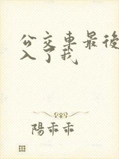 公交车最后一排入了我