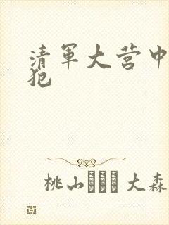 清军大营中的女犯