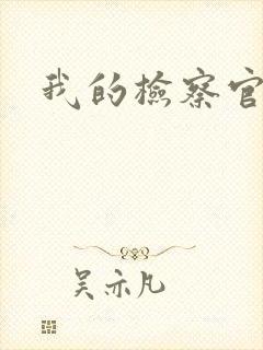 我的检察官先生