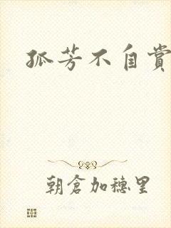 孤芳不自赏小说