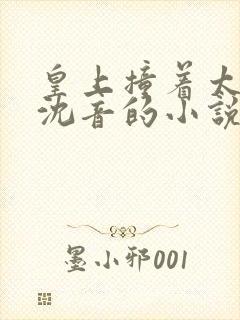 皇上撞着太子妃沈音的小说叫什么