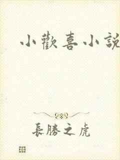 小欢喜小说