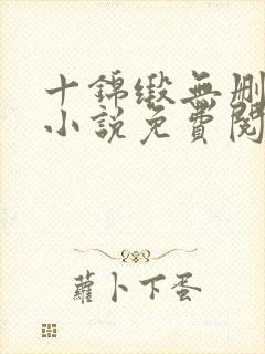 十锦缎无删原著小说免费阅读