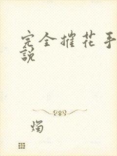 完全摧花手册小说