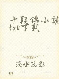 十段锦小说全本txt下载