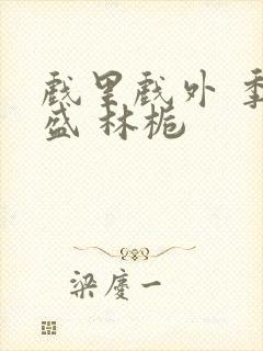 戏里戏外 季淮盛 林栀封面
