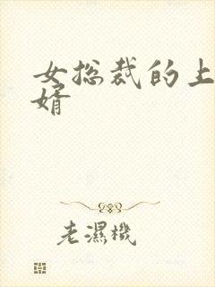 女总裁的上门女婿