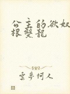 公主的欲奴h四根双龙
