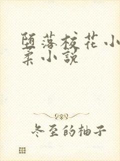 堕落校花小雪小柔小说封面