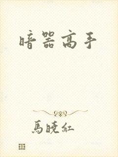暗器高手